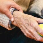 adult nursing statement of purpose sample