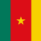 cameroon statement of purpose
